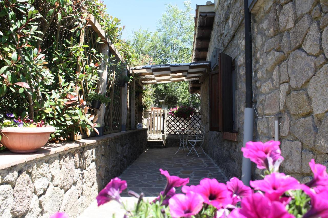 Agriturismo Biagiotti Abbadia San Salvator Exterior foto
